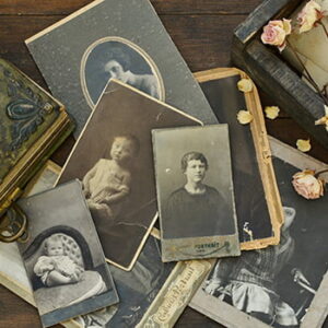 Collections & Archives